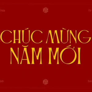 Fz Caniago – Font chữ serif hiện đại và linh hoạt